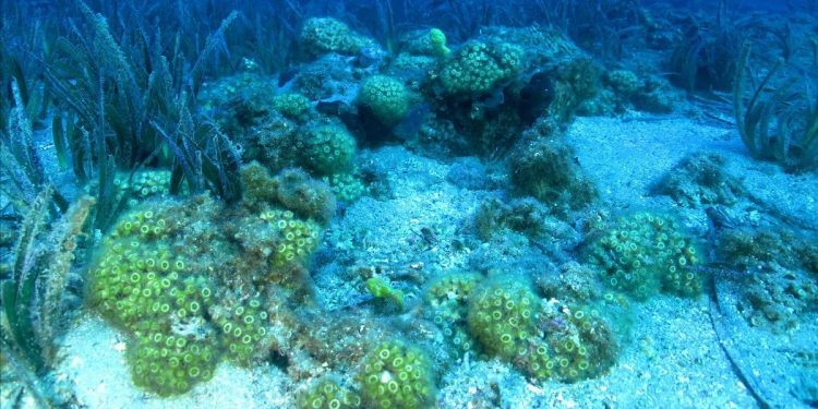 Sadece sen değil, sadece ben değil, hepimiz