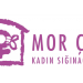 Mor Çatı’dan yeni rapor: Erkek Şiddetiyle Mücadelede Koordinasyona İlişkin İzleme Raporu