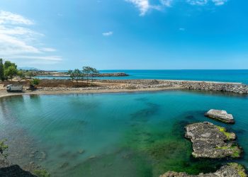 Tema Vakfı : Mega Endüstri Bölgeleri Türkiye’ye ekonomik faydadan ziyade ekolojik yıkım getirecek