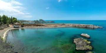 Tema Vakfı : Mega Endüstri Bölgeleri Türkiye’ye ekonomik faydadan ziyade ekolojik yıkım getirecek