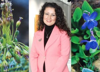 Doğanın Mücevherleri