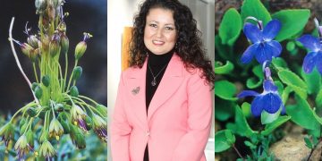 Doğanın Mücevherleri