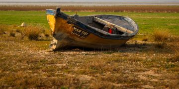 Doğa Derneği : Manisa’daki Marmara Gölü’ne neden su verilmiyor?