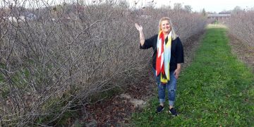 Anahtar teslim meyve bahçesi dönemi