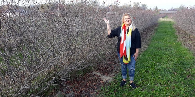 Anahtar teslim meyve bahçesi dönemi