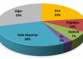 NG Araştırma : Türkiye’de geçim şartları