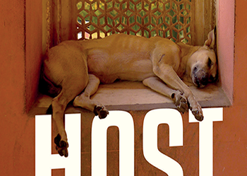 Bu romanı okurken kendinizi köpek gibi hissedeceksiniz