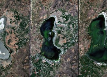 Doğa Derneği : Manisalı balıkçıların çığlığı