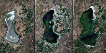 Doğa Derneği : Manisalı balıkçıların çığlığı