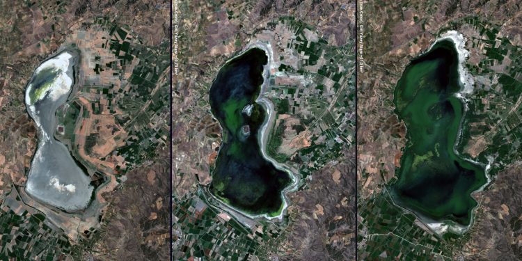 Doğa Derneği : Manisalı balıkçıların çığlığı