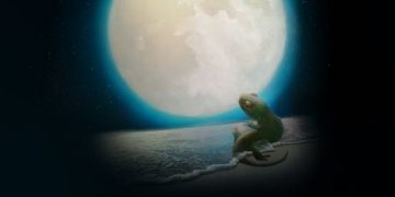 Akdeniz Araştırmacıları Gecesi üçüncü turunu Yunanistan’ın Midilli adasında başlattı