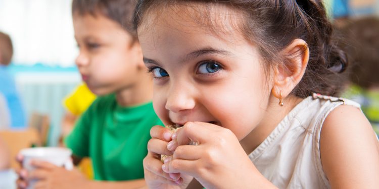 BM Raporu : Türkiye’de 147 adet titanik ağırlığında gıda çöpe gidiyor!