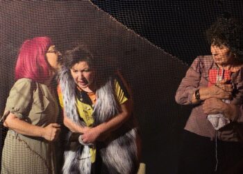 Tiyatroseverler “Kozalar”ı çok beğendi