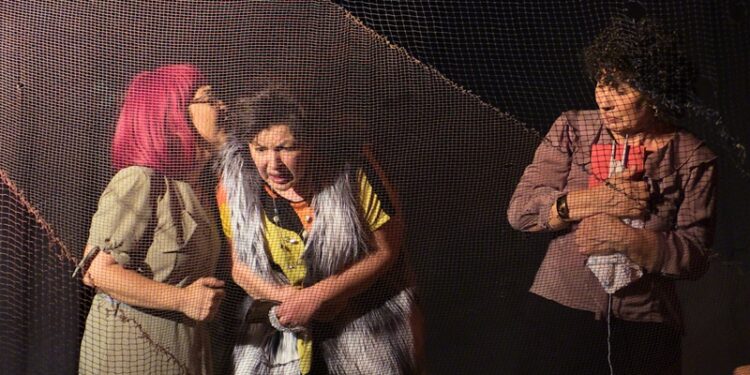 Tiyatroseverler “Kozalar”ı çok beğendi