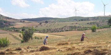 Tarım ve Gıda Etiği Derneği : Tarım yeryüzünün varlığının ve geleceğininde anahtarı