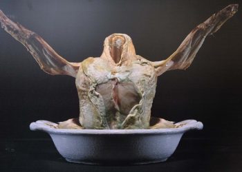 Gıdadaki israf fotoğraflara yansıdı