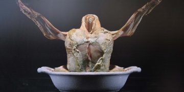 Gıdadaki israf fotoğraflara yansıdı