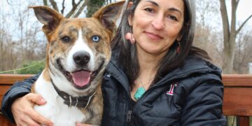 Öfke, şefkat ve çaresizlik: Sevgisiz Dünyaya Karşı