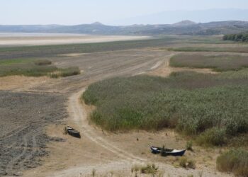 Doğa Derneği, Marmara Gölü’nü kurtarmak için Ombudsman’a başvuruyor