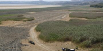 Doğa Derneği, Marmara Gölü’nü kurtarmak için Ombudsman’a başvuruyor