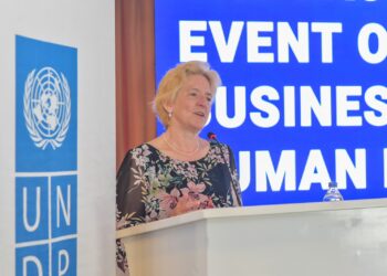 UNDP, Japonya’nın desteğiyle, Türkiye’de sorumlu iş uygulamalarını teşvik ediyor