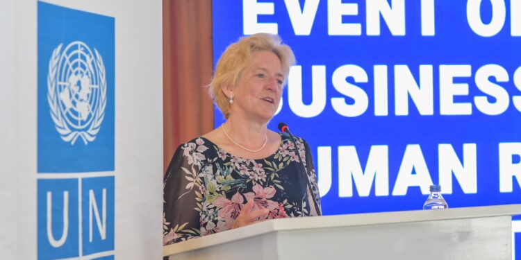 UNDP, Japonya’nın desteğiyle, Türkiye’de sorumlu iş uygulamalarını teşvik ediyor