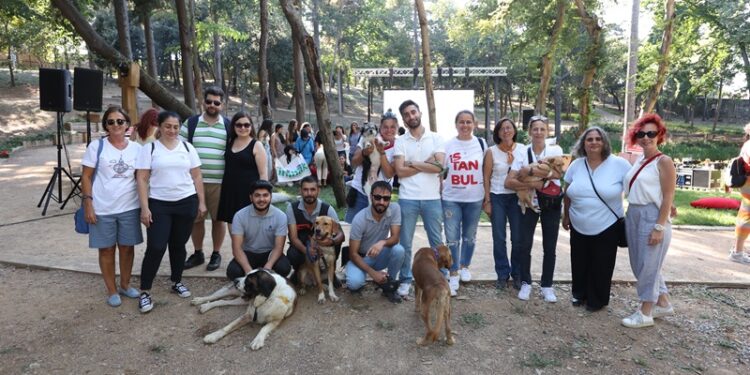 Koç Holding çalışanları, sokak hayvanlarıyla ortak bir yaşam kültürü için sempati fest’te buluştu