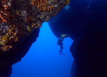 Sualtı Türkiye Şampiyonasına Eskişehir imzası