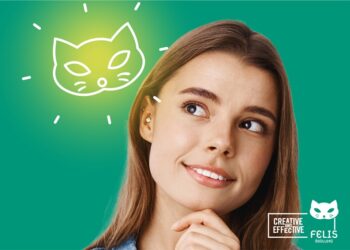 Felis Ödülleri’ne başvuru için son 3 gün