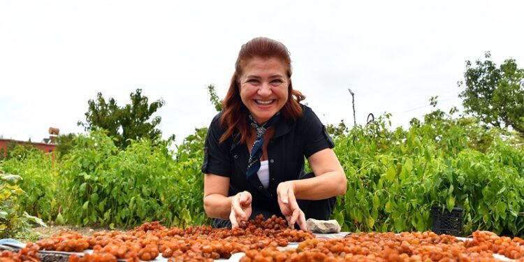‘Pekmez Tadım Günleri’