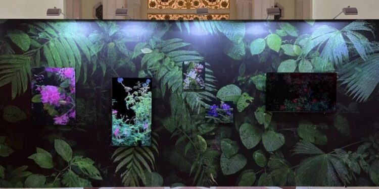 Akbank Sanat’tan “Başka Sesler Başka Odalar”