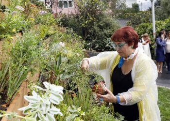 Agnes Denes’in “Yaşayan Piramit” Eseri Sakıp Sabancı Müzesi Bahçesinde Yaşam döngüsüne başladı