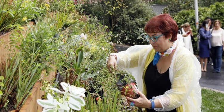 Agnes Denes’in “Yaşayan Piramit” Eseri Sakıp Sabancı Müzesi Bahçesinde Yaşam döngüsüne başladı