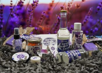 Karatay’ın Lavantası, üretim ekonomisine katkı sağlıyor