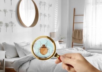 Tahtakurusu ısırması, belirtileri, alerjisi, teşhisi ve tedavisi nasıl yapılır?