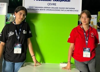 Denizleri deniz patlıcanı temizleyecek!