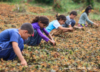 Hayata Destek Derneği: Çocuklar yoksulluk döngüsünden çıksın