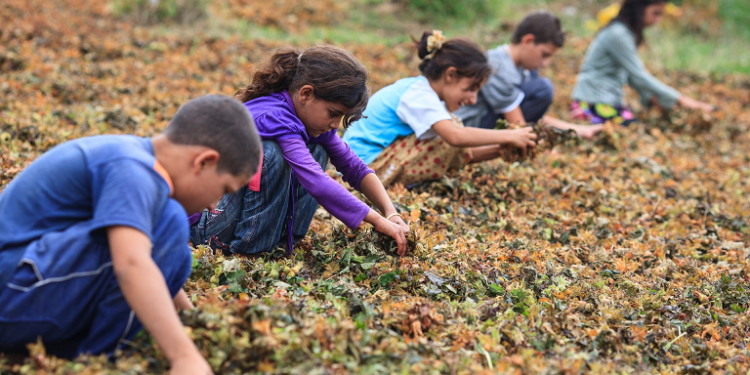 Hayata Destek Derneği: Çocuklar yoksulluk döngüsünden çıksın
