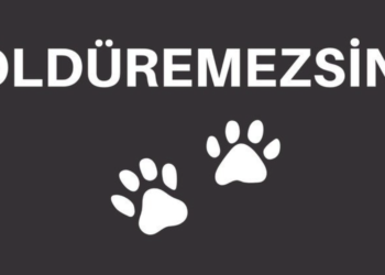 Sokak hayvanlarına yönelik şiddeti durdurmak için rekor destek