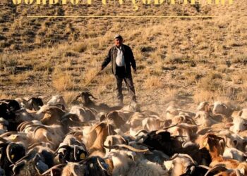 33. Ankara Uluslararası Film Festivali’nde  “Gordion’un Çobanları”  VEKAM Özel Ödülü’nün Sahibi oldu