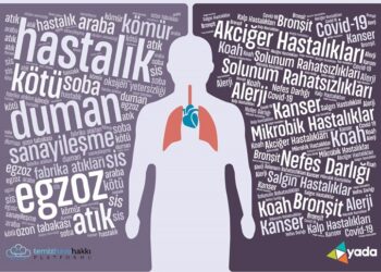 Ailelerin yüzde 87’si hava kirliliğinden kaygılı