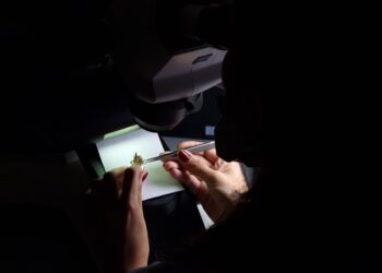 JTR sektöre eğitimli gençler kazandırıyor