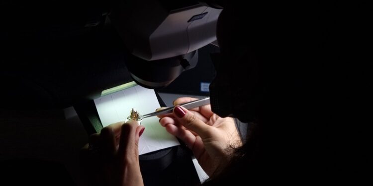 JTR sektöre eğitimli gençler kazandırıyor