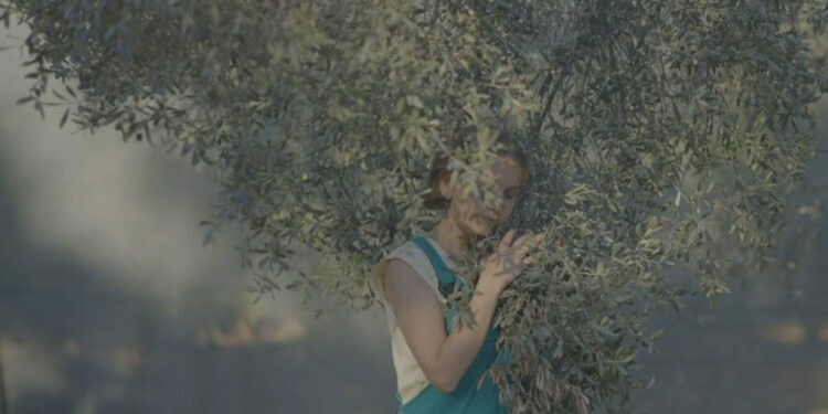 Zeytin, Tarımda Kadın ve Bedeni Üzerine Bir Sosyal Film Projesi