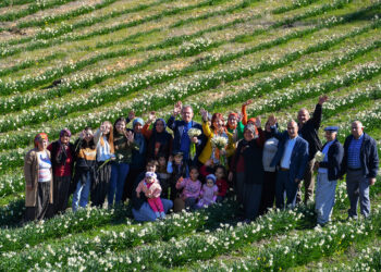 Mersin’de “1. Nergis Şenliği”
