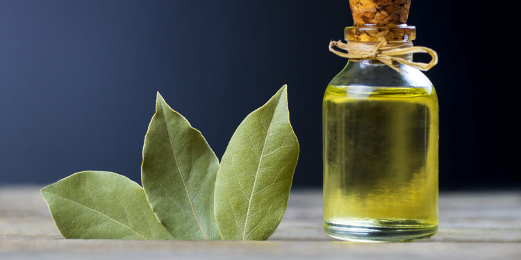 Türkiye’nin gıda ihracatının yüzde 46’sını hububat bakliyat yağlı tohumlar sektörü yaptı