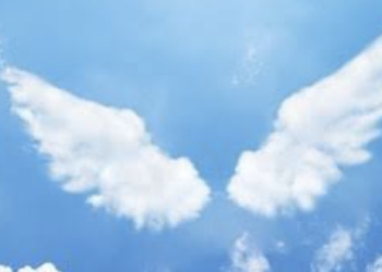 Hande Ertekin: Hoşçakal Dayım…