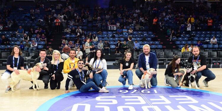 Taraftarlar devre arasında parkeye çıkan depremzede köpekleri sessizlikle selamladı