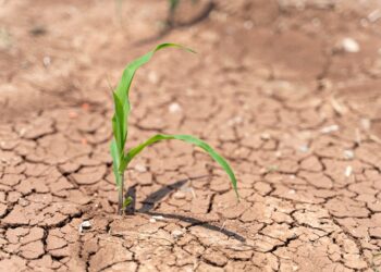 TEMA Vakfı’ndan seçimler öncesi çağrı: Siyasette ekoloji temelli yaklaşım odağa alınsın