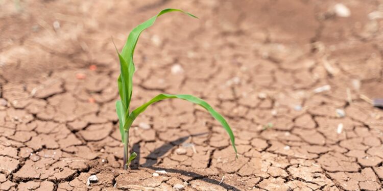 TEMA Vakfı’ndan seçimler öncesi çağrı: Siyasette ekoloji temelli yaklaşım odağa alınsın